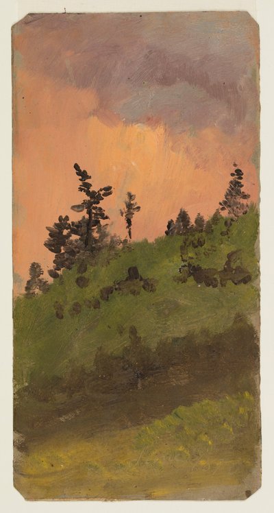 ドローイング、森の風景、1870年6月 作： Frederic Edwin Church