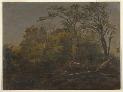 デッサン、メインの森、1845-55年 作： Frederic Edwin Church