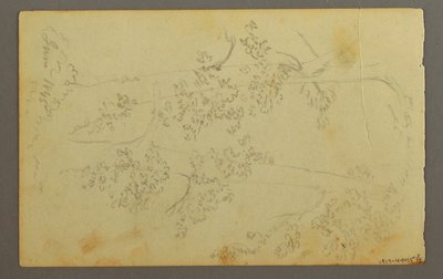 ドローイング、木々に囲まれたミル、1845年 作： フレデリックエドウィン教会