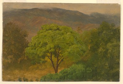 デッサン、山の風景、1865年8月 作： Frederic Edwin Church