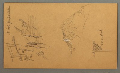 デッサン、山頂、プール脇の植生、1868年 作： フレデリックエドウィン教会