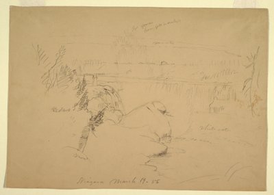 図面、ナイアガラの滝、ゴート島からの眺め、1856年3月19日 作： フレデリックエドウィン教会