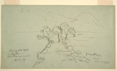 図面、パエストゥムの古い壁の一部、オリーブの木が生えている、1869年4月 作： フレデリックエドウィン教会