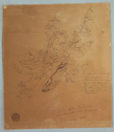 1856年9月、ナイアガラの滝の下、カナディアン・バンクの険しい木 作： フレデリックエドウィン教会