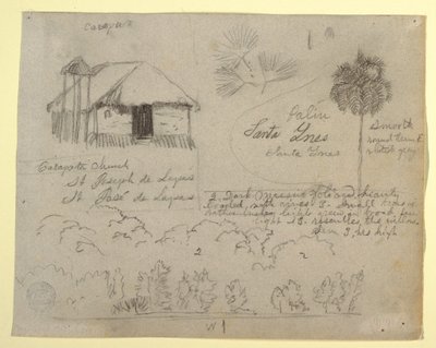 デッサン、サン・ホセ・デ・ラパス教会、カラパタ、植物学、おそらくコロンビア、1853年 作： フレデリックエドウィン教会