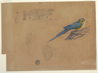 素描、グアカマヤからの習作、ボゴタ、コロンビア、1853年6-7月 作： フレデリックエドウィン教会