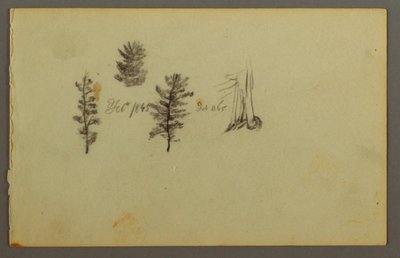 デッサン、3つの常緑樹、1845年 作： フレデリックエドウィン教会