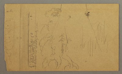 デッサン、木の幹と根、おそらく1865-66年 作： Frederic Edwin Church