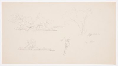 ドローイング、樹木、茂みと樹木のある海岸、1876年9月 作： Frederic Edwin Church