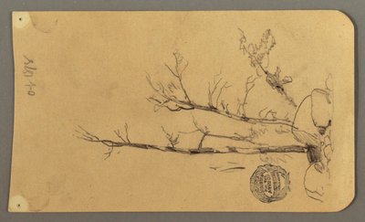 デッサン、樹木、巨石、1878年 作： フレデリックエドウィン教会