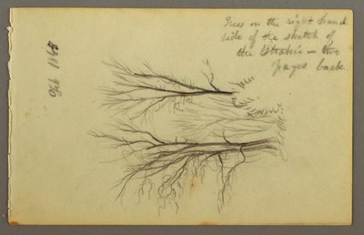 フタキエ()・ポンドによる樹木の素描、1845年 作： フレデリックエドウィン教会