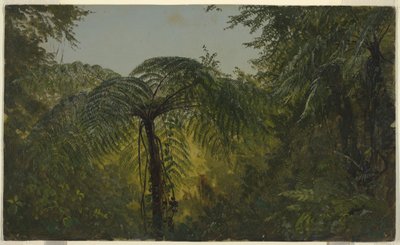 ドローイング、熱帯の風景、1865年6月または7月 作： Frederic Edwin Church