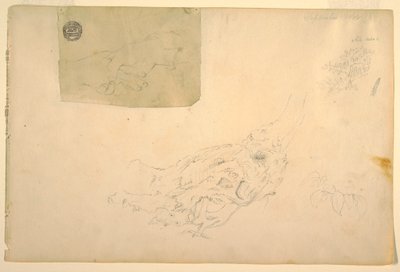 ドローイング、震える両手、ニョロニョロした木の根、1844年9月 作： フレデリックエドウィン教会