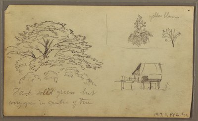 デッサン、グアヤキルの眺め、エクアドル、1857年5月23日 作： フレデリックエドウィン教会
