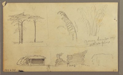 デッサン、エクアドル、グアヤキルの対岸、グアヤス川東岸の眺め、1857年5月 作： フレデリックエドウィン教会