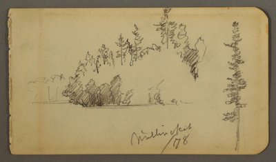 デッサン、森の海岸、木の習作、1878年 作： Frederic Edwin Church