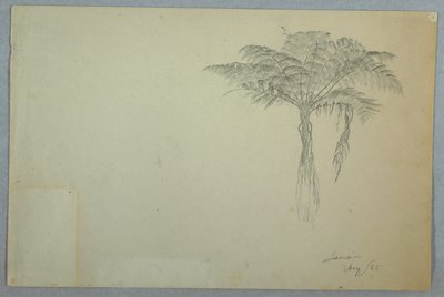 シダの木の研究、ジャマイカ 作： Frederic Edwin Church