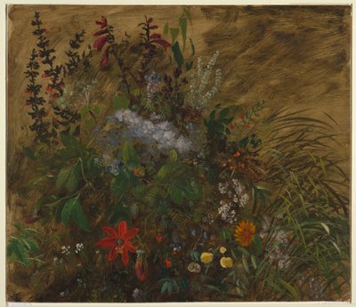 ジャマイカの花 作： Frederic Edwin Church
