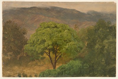 山、ジャマイカの Genip ツリー 作： Frederic Edwin Church