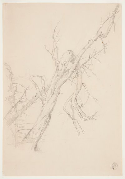 節くれだった枯れ木 作： Frederic Edwin Church