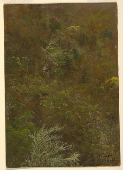 木々のある丘の中腹、ジャマイカ 作： Frederic Edwin Church