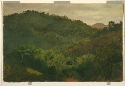 ジャマイカの風景 作： Frederic Edwin Church