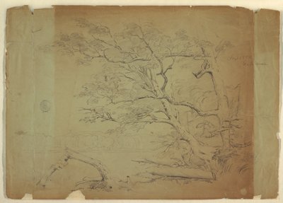 木と小川のある風景[？]、グランドマナン島、カナダ 作： Frederic Edwin Church