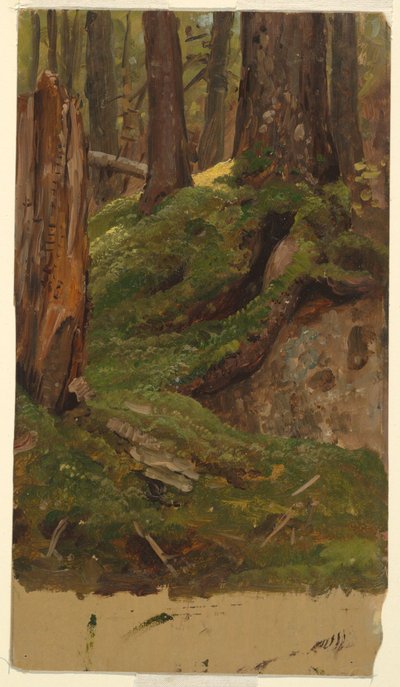 メイン？ 森 作： Frederic Edwin Church