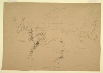 ナイアガラの滝、ヤギ島からの眺め 作： Frederic Edwin Church