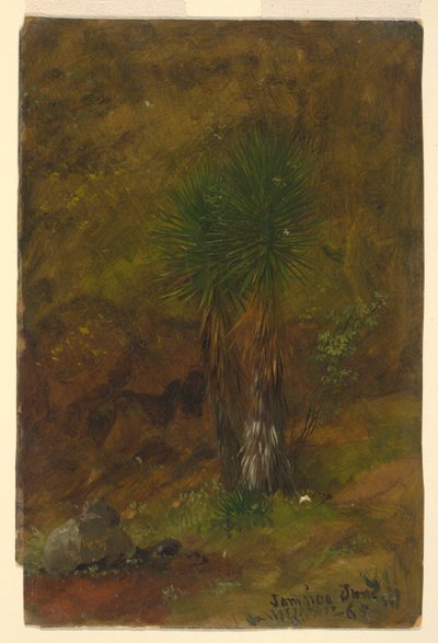 ヤシの木、ジャマイカ 作： Frederic Edwin Church