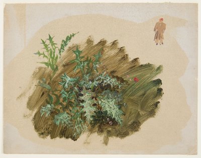 植物研究 作： Frederic Edwin Church