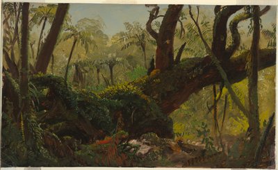 熱帯雨林、ジャマイカ 作： Frederic Edwin Church