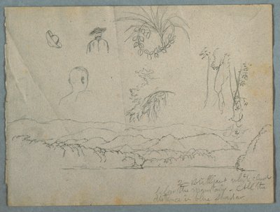 山と雲のある川岸、3つの植物画と胸像 帽子をかぶった男性の習作 作： Frederic Edwin Church
