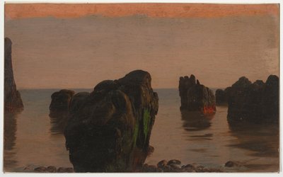 グランドマナン沖の岩と苔 作： Frederic Edwin Church