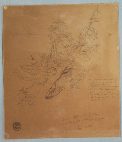 ナイアガラの滝の下にあるカナディアン バンクの険しい木 作： Frederic Edwin Church