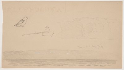 陸地の雪のラブラドール、ボートの男、鳥のスケッチ 作： Frederic Edwin Church