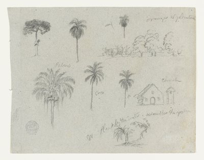 コロンビア、リオ・マグダレナでのスケッチ。  植物スケッチ。教会。  103に類似。 作： Frederic Edwin Church