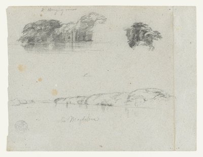 コロンビア、リオ・マグダレナの木々、ブドウの木、土手のスケッチ 作： Frederic Edwin Church