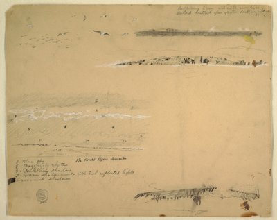カモメの研究、岩の多い海岸と曇り空、グレートマナン、カナダ 作： Frederic Edwin Church
