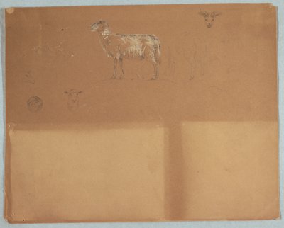 羊、エクアドルまたはコロンビアの研究 作： Frederic Edwin Church