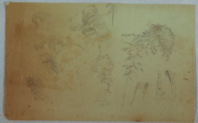 木のてっぺんと竹の研究、ジャマイカ 作： Frederic Edwin Church