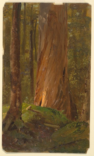 メインの森で学ぶ 作： Frederic Edwin Church