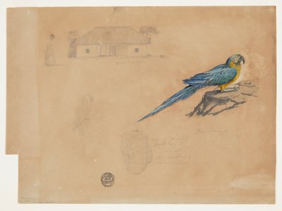 グアカマヤ、ボゴタ、コロンビアの研究 作： Frederic Edwin Church