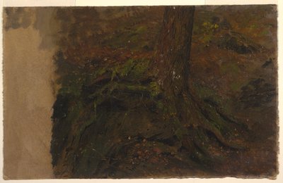 木の幹の研究 作： Frederic Edwin Church
