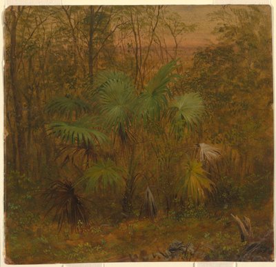 サッチ パーム、ジャマイカ 作： Frederic Edwin Church