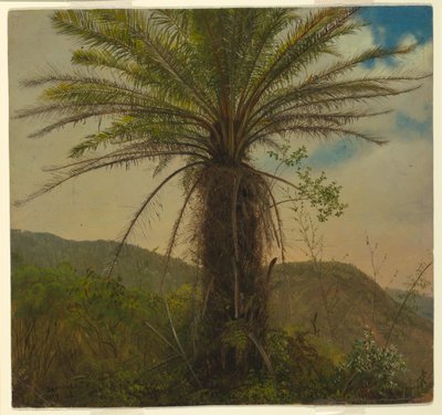 ジャマイカの木生シダ、1865年7月 作： Frederic Edwin Church