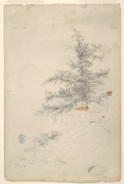 木、小川 作： Frederic Edwin Church