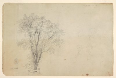 木 作： Frederic Edwin Church