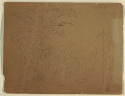 木、グランドマナン島、カナダ 作： Frederic Edwin Church