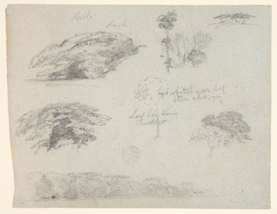 木、木のてっぺん、樹木が茂った土手、メイン州サドルバック 作： Frederic Edwin Church